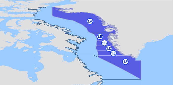 Delområde 21.1 – Baffin Bay, Davis Strait