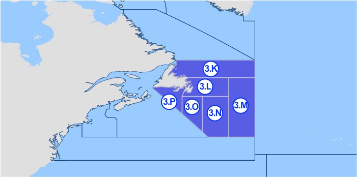 Delområde 21.3 – Newfoundland