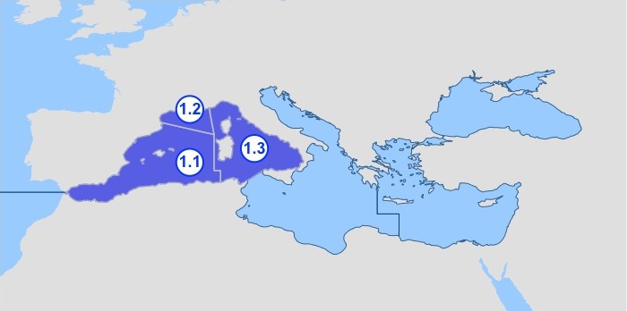 Subzona 37.1 – Mediterráneo occidental o Mediterráneo oeste