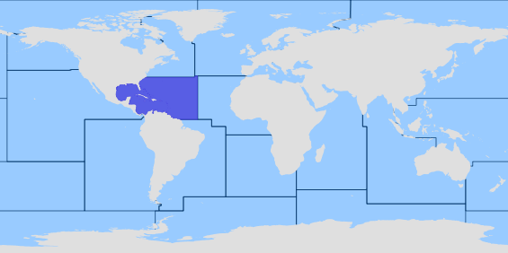 Oblasť FAO 31 - Stredozápadný Atlantik