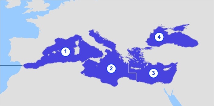 Območje FAO 37 - Sredozemsko in Črno Morje