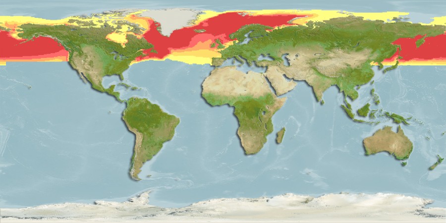 Aquamaps - Computer Generated Native Distribution Map for Mallotus villosus