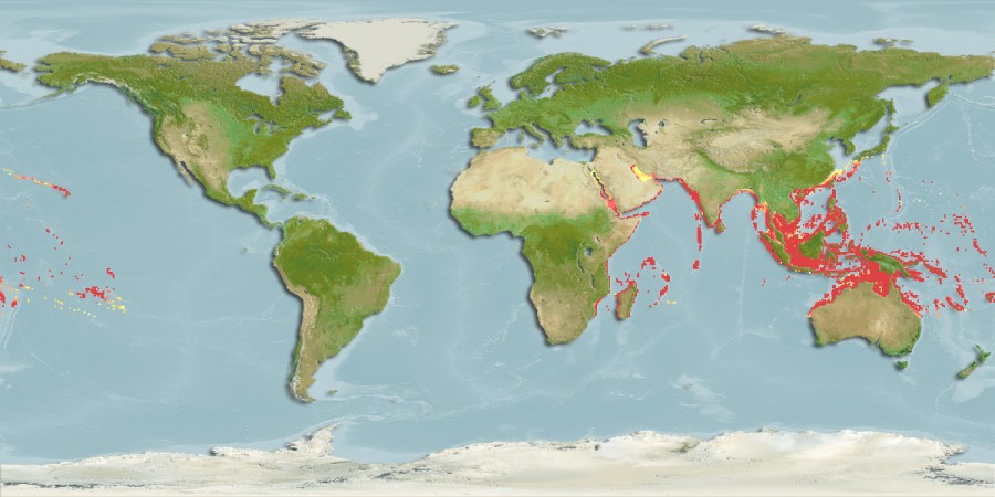 Aquamaps - Computer Generated Native Distribution Map for Carcharhinus melanopterus