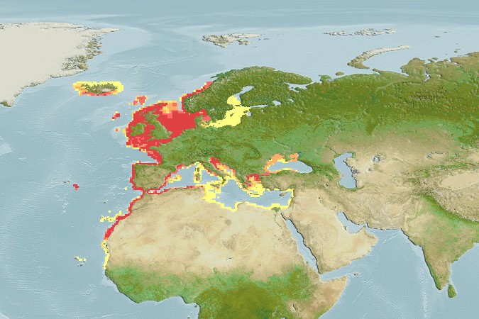 Aquamaps - Computer Generated Native Distribution Map for Solea solea