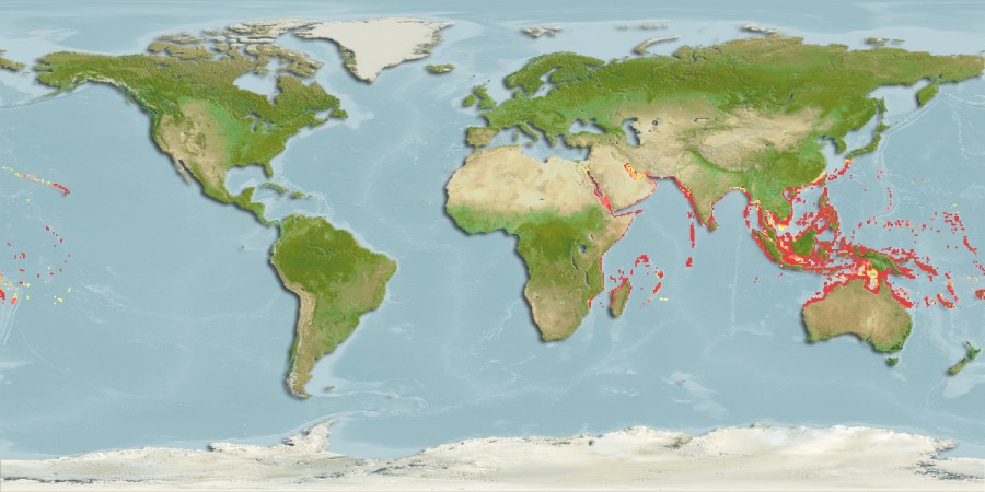 Aquamaps - Computer Generated Native Distribution Map for Atherinomorus lacunosus