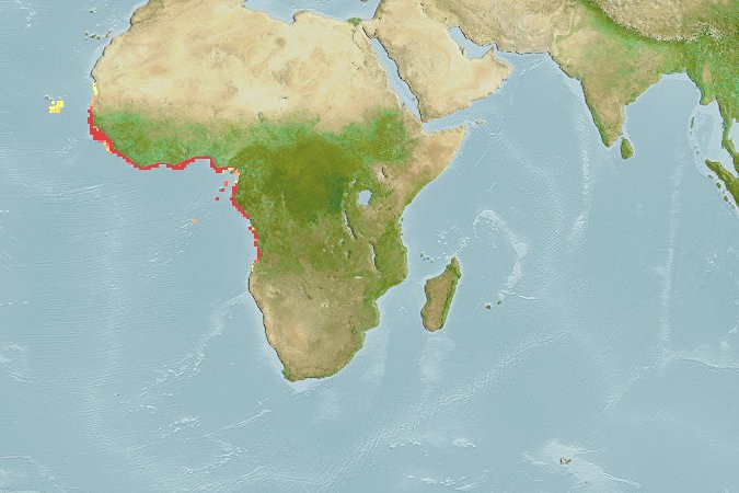 Aquamaps - Computer Generated Native Distribution Map for Lutjanus fulgens