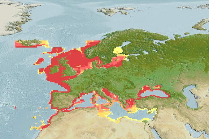 Aquamaps - Computer Generated Native Distribution Map for Alosa fallax