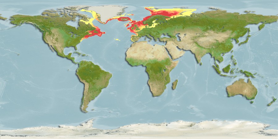 Aquamaps - Computer Generated Native Distribution Map for Gadus morhua