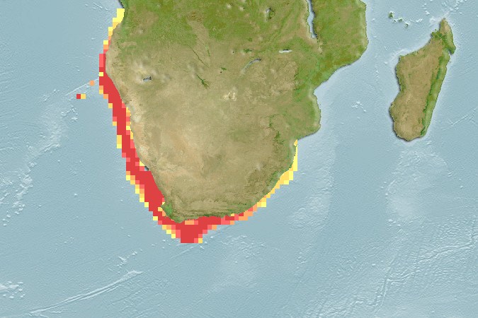 Aquamaps - Computer Generated Native Distribution Map for Merluccius capensis