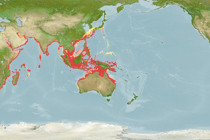 Aquamaps - Computer Generated Native Distribution Map for Thenus orientalis